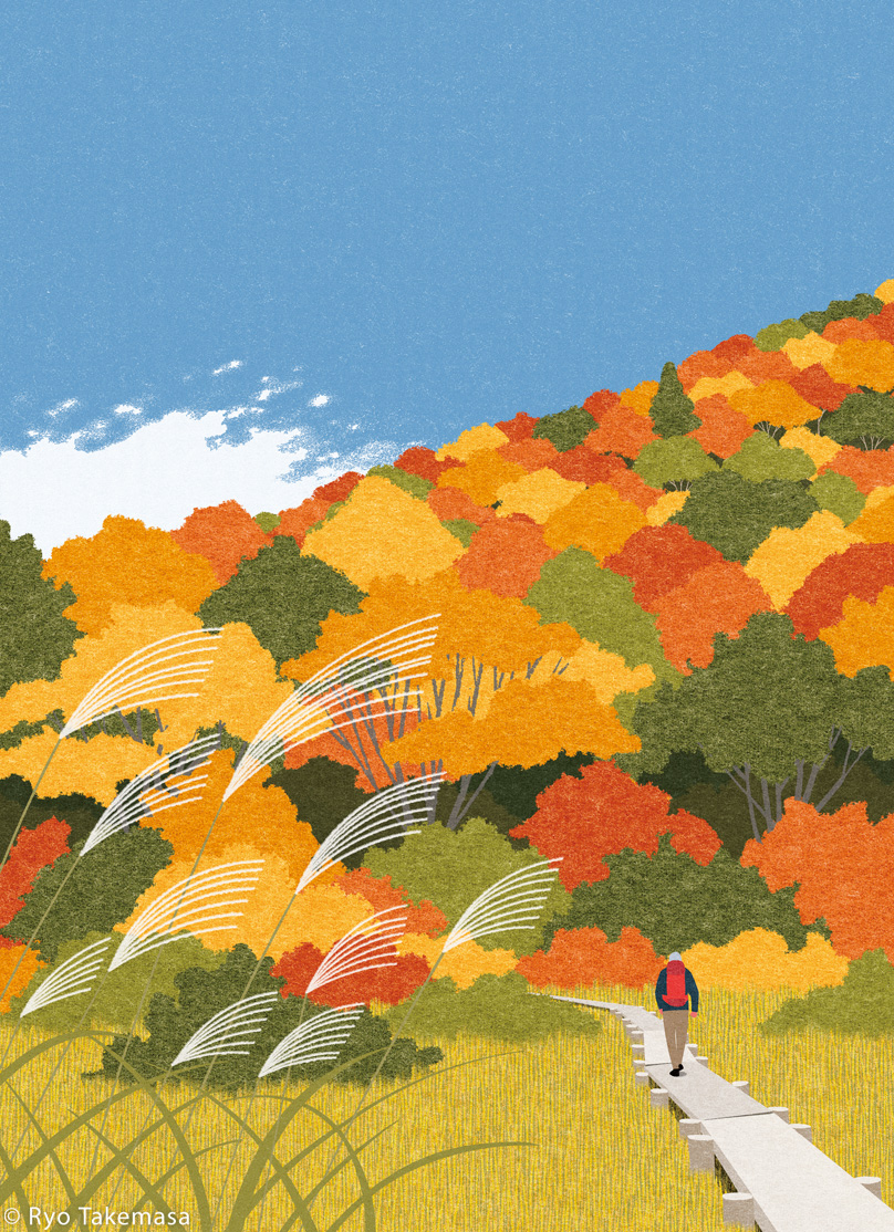 autumn autumn colors autumn tints Fall Landscape red leaves Trek trekk.jpg