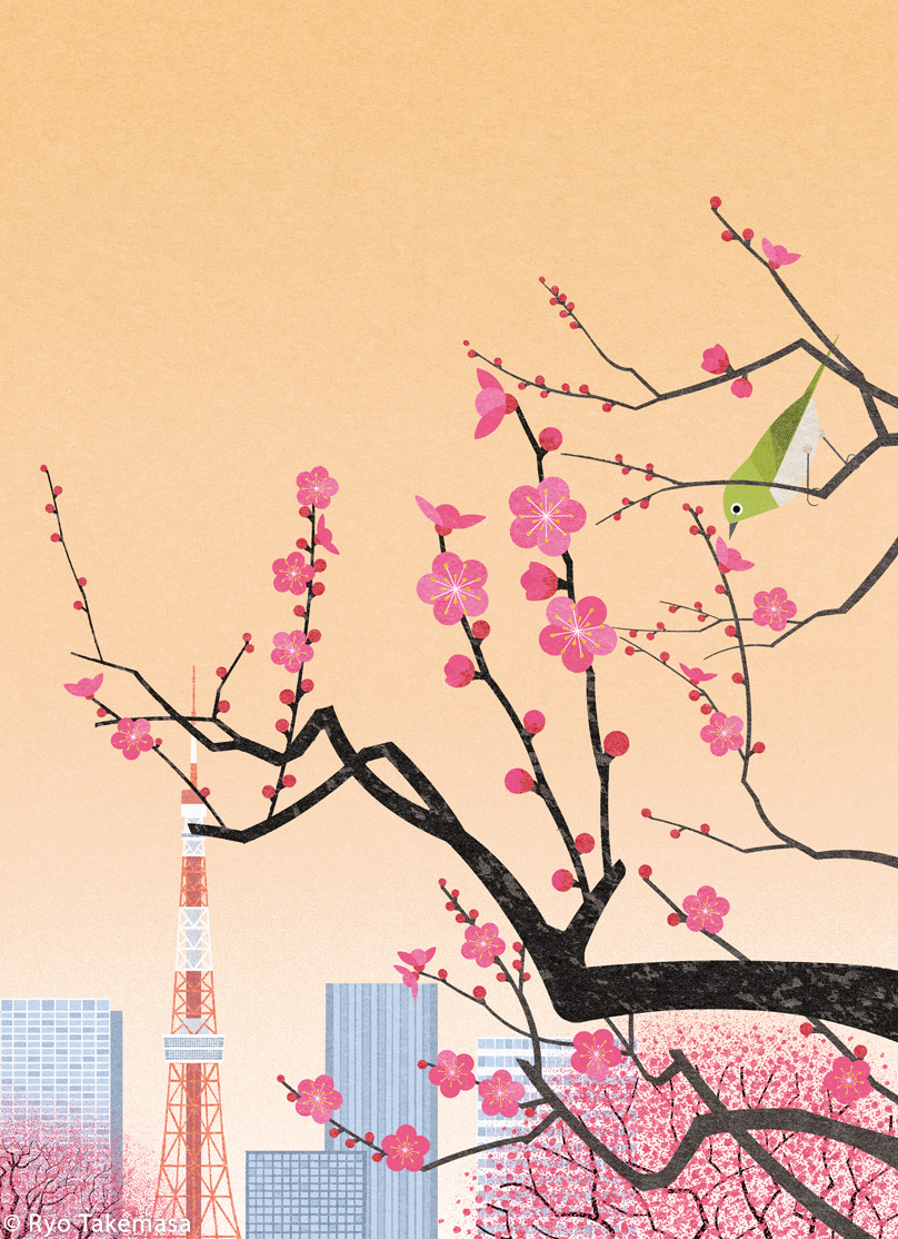 bloom blossoms flower japan Landscape spring tokyo Tree  ume Ume bloss.jpg