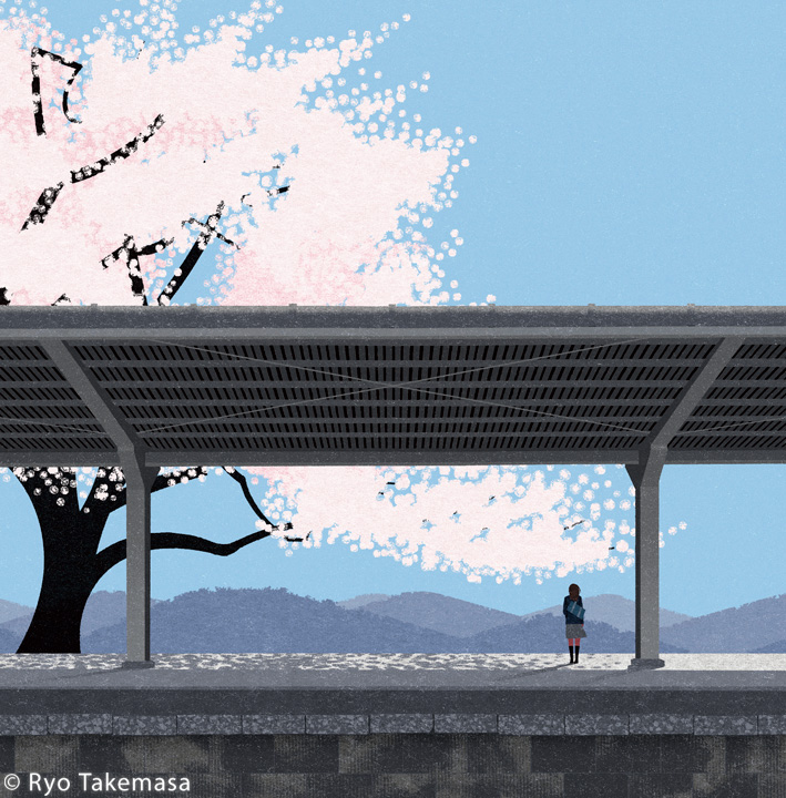 Cherry blossoms cherry tree japan Landscape Platform spring STATION tr.jpg