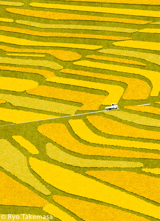 Landscape autumn Fall japan RICE FIELD.jpg