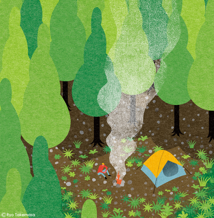 Landscape camp summer woods.jpg