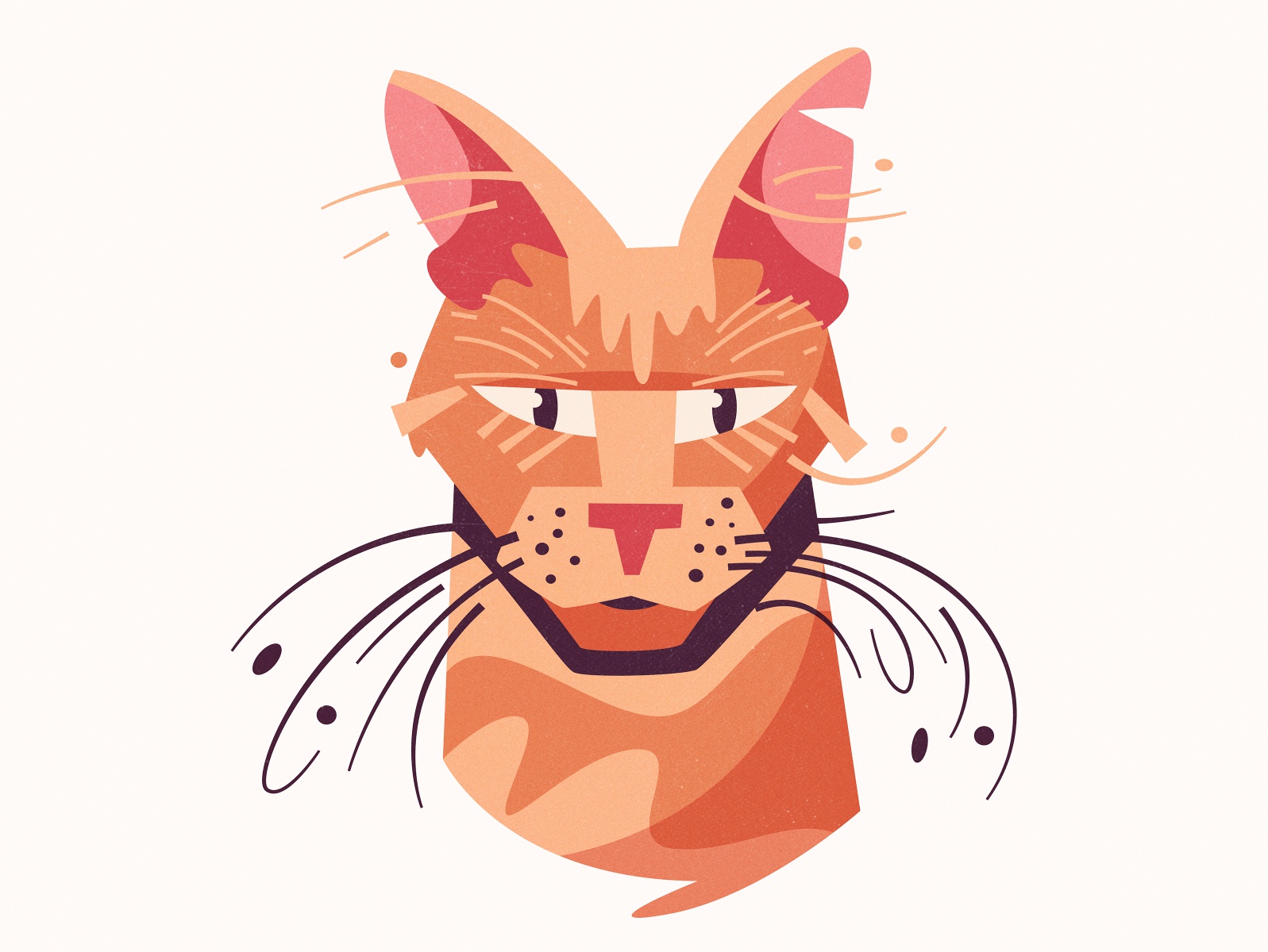 Cat character homeless pet pet homeless lovely cute adorable kitten ki.jpg