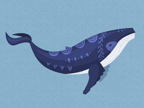 Magical whale fish underwater sea whale cartoon character illustration.jpg