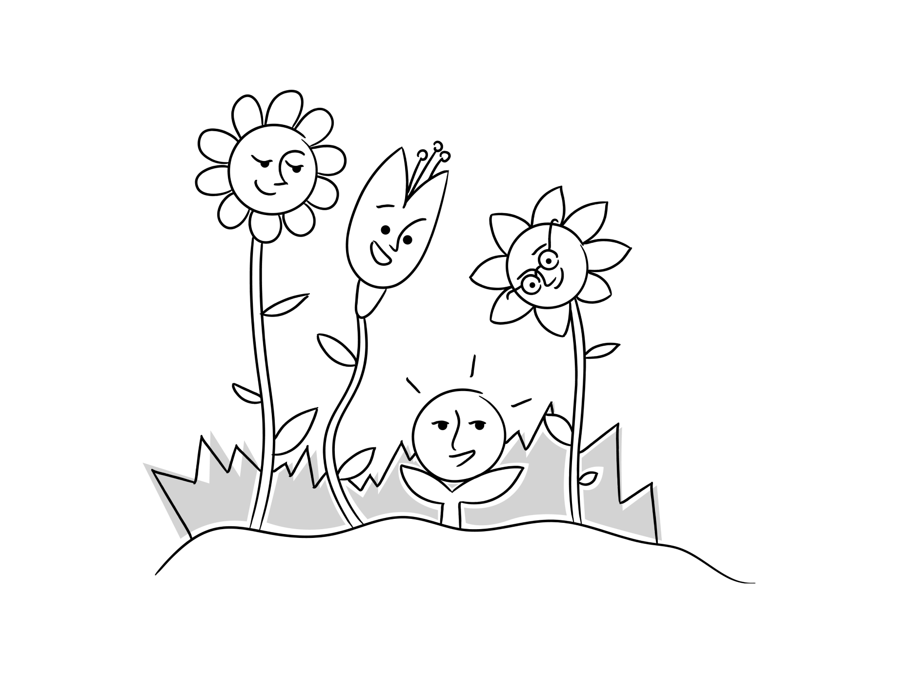 06-new-follower.webp