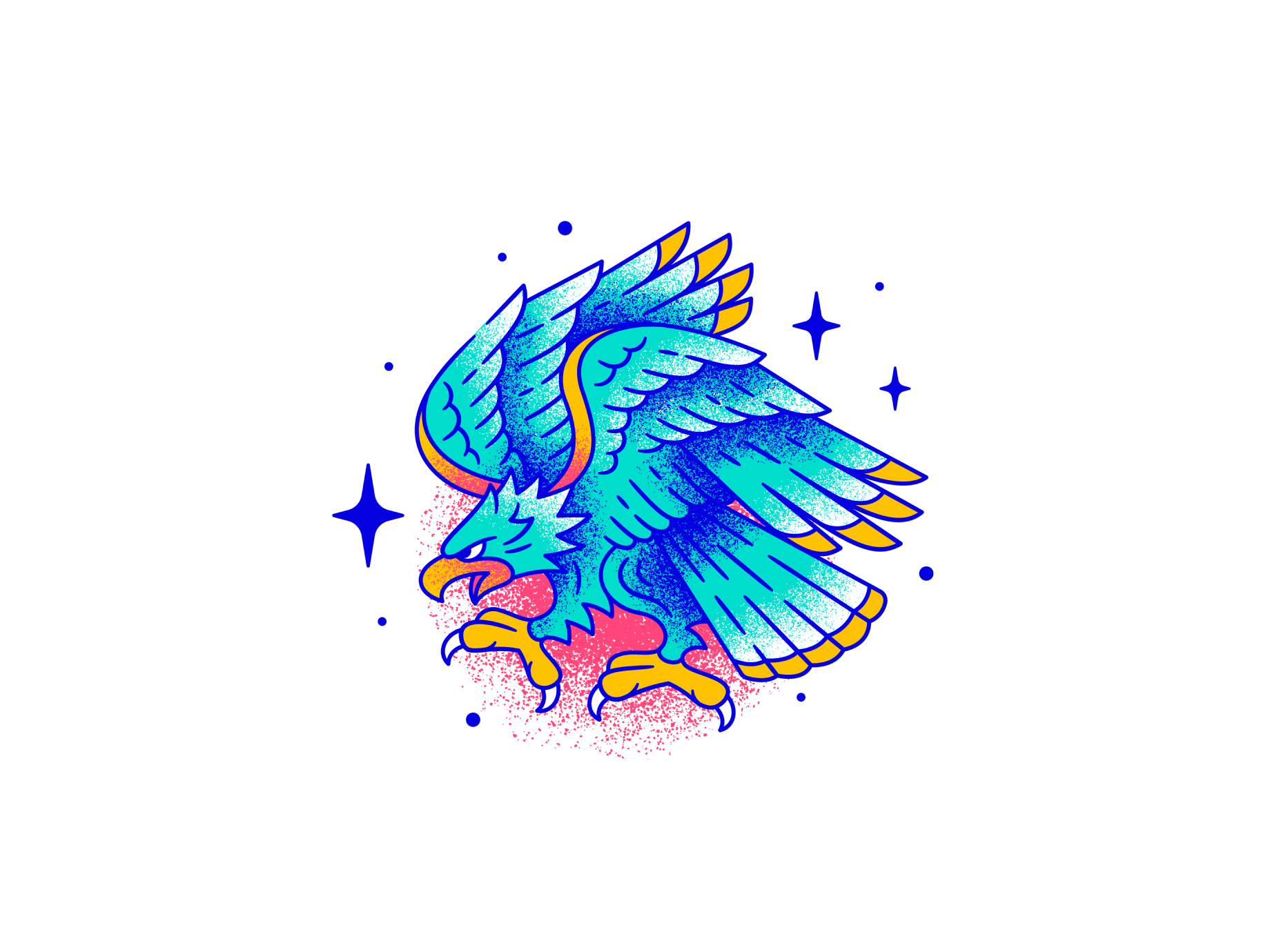 07-hawk.webp