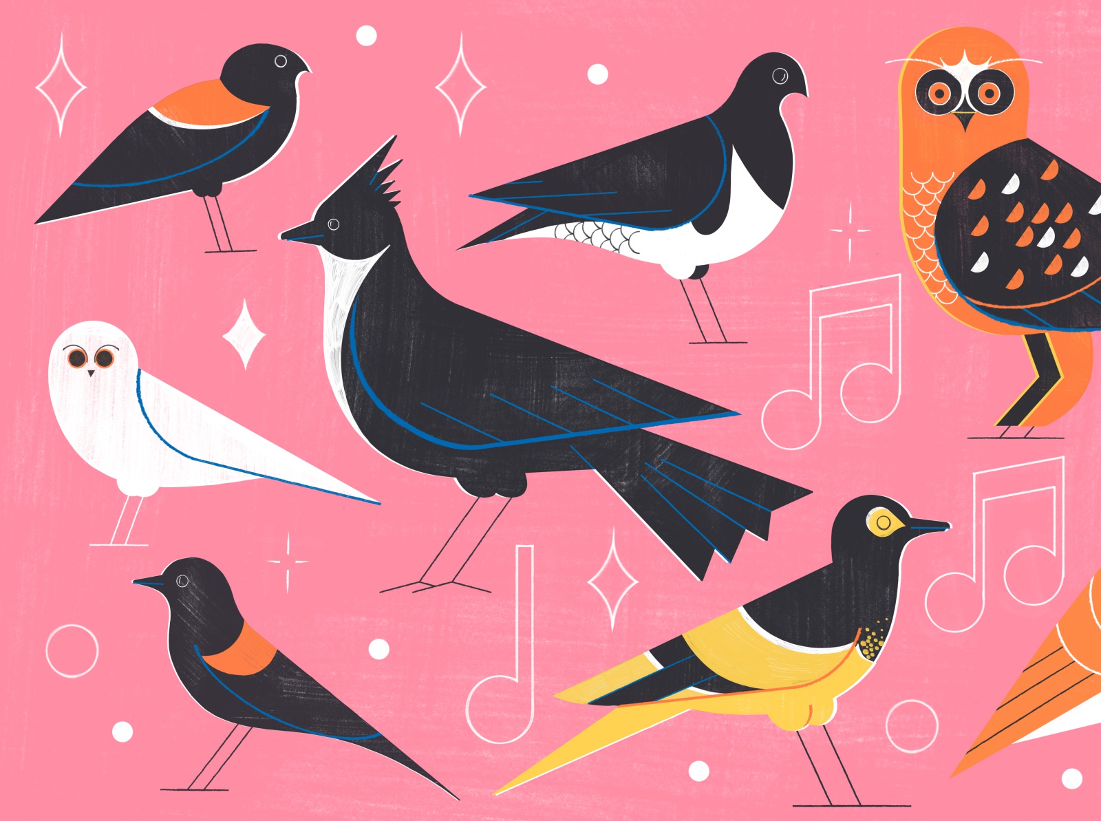 Forgotten Songs- Culture Trip birds flying airline travel illustration.jpg