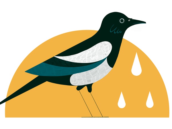 Irish Superstitions People Still Believe - Culture Trip magpie bird il.jpg