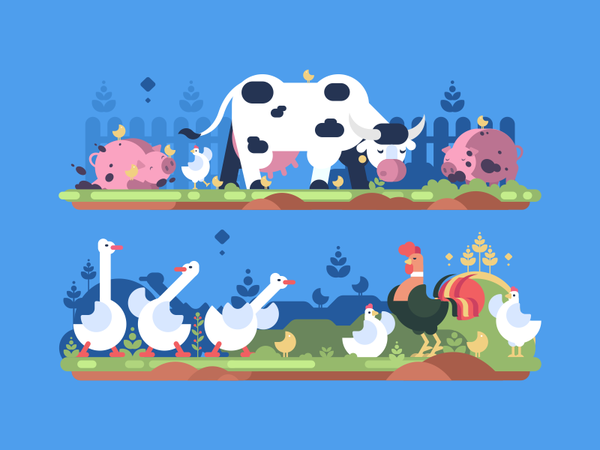 Farm hen animal goose rooster bird farm pig cow illustration vector fl.png