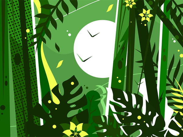 Green jungle background leaves branches forest tree background nature.png