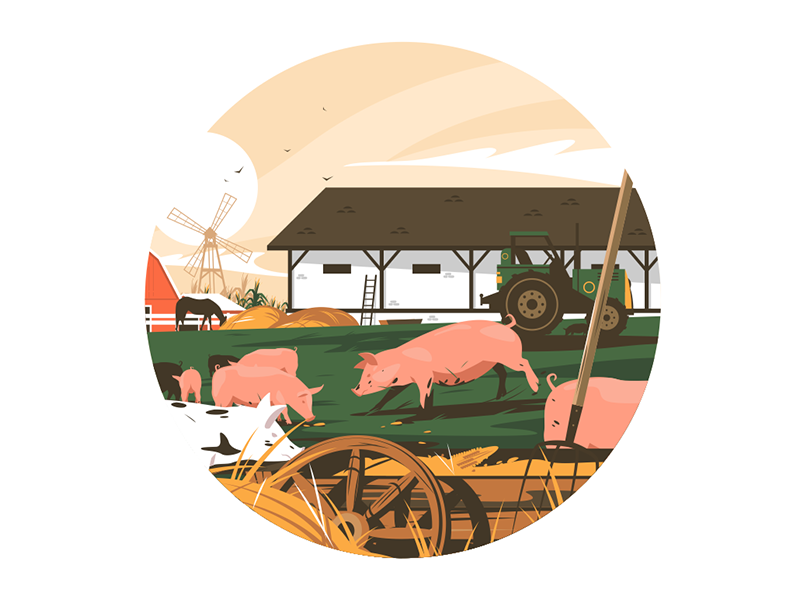 Piglets on farm kit8 flat vector illustration character village pig an.png