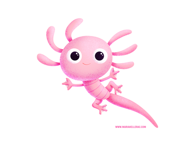 Axolote texture design characters procreate mexico axolote axolotl cut.png