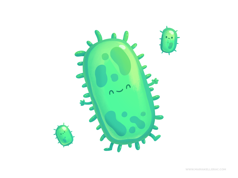 Bacteria ipad doodle children character procreate health bacteria cute.png