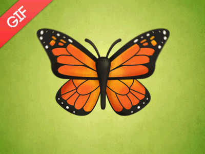Butterfly GIF butterfly cartoon gif mexico animation cute character.gif