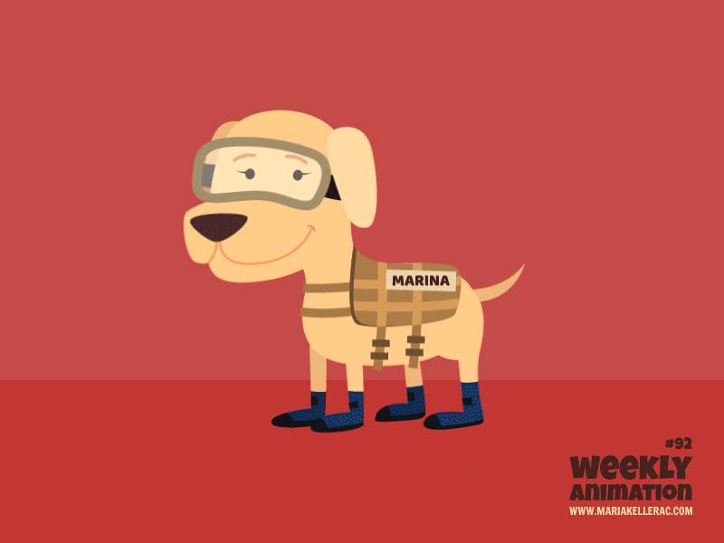 Frida rescue love heroe dog earthquake mexico navy hero.gif
