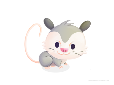 Opossum mexico cartoon children cute illustration tlacoache opossum ki.png