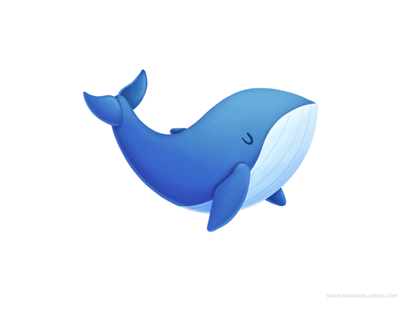 Whale mexico illustration cartoon kids children character kidlitart pr.png