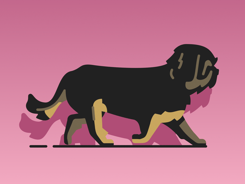 Luna walking shadow vector animation illustration walkcycle walk dog i.gif