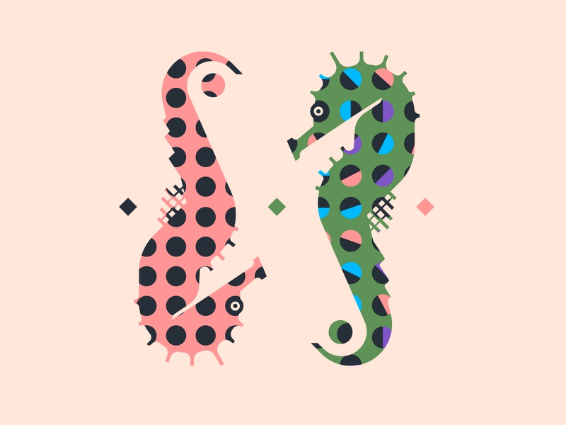 Hippocampus brand design brand colorful color flat fashion print exper.jpg