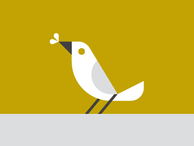 Birds Eat Bugs.png
