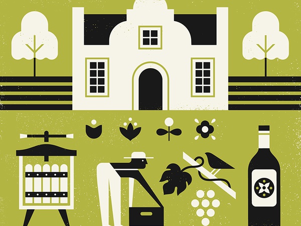 Cape Winelands africa south vineyard grapes trees town cape wine textu.jpg