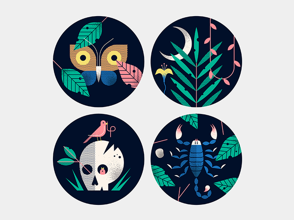 Nature Set illustration vector texture nature bird palm butterfly scor.png
