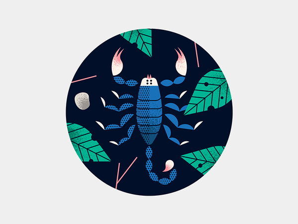 Scorpion jungle vector illustration texture nature leaves scorpion.png