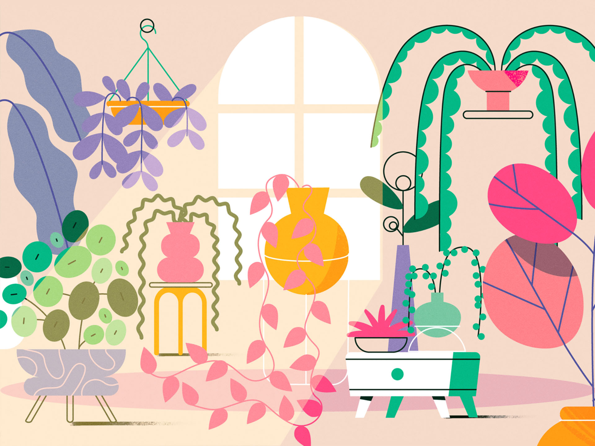 TED-Ed x Lobster Studio - Indoor Plants lobsterstudio summer team natu.jpg