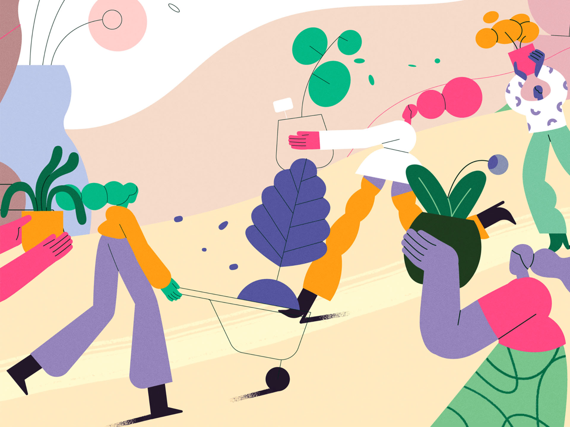 TED-Ed x Lobster Studio - Plant enthusiasts lobsterstudio team nature.jpg