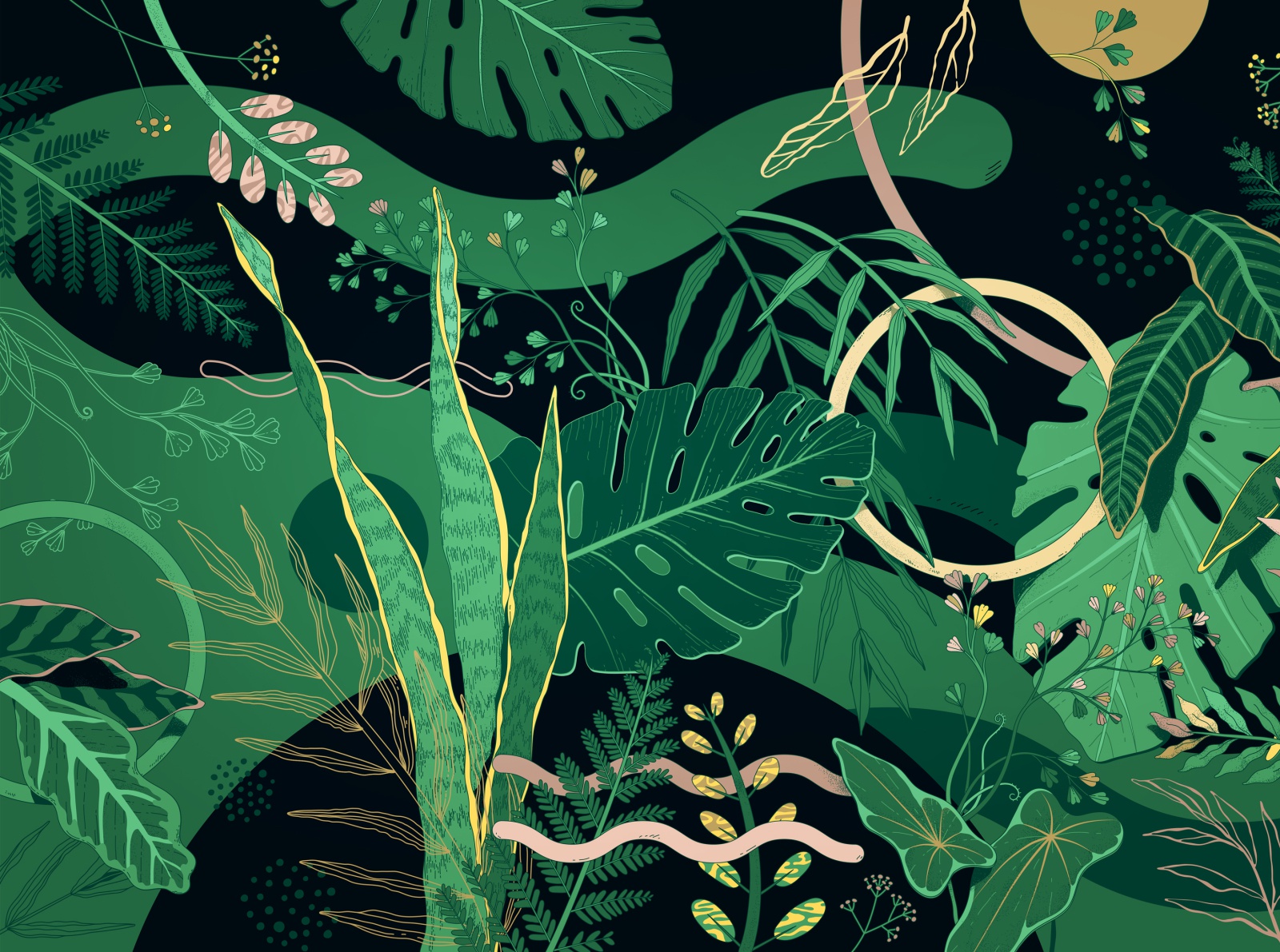 Branding Illustration gold green foliage monstera geometric leaves nat.jpg
