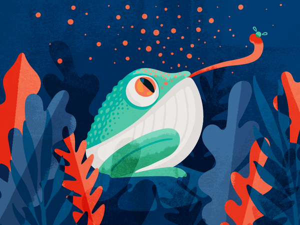 Lazy meal time vector texture lazy magic lake fly plants frog meal nat.png