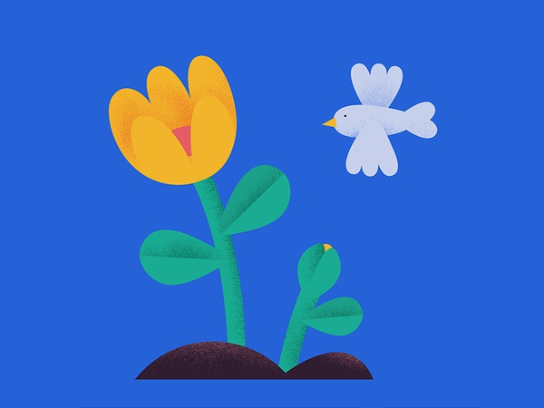 Spring bloom bird flower illustration flora spring.jpg