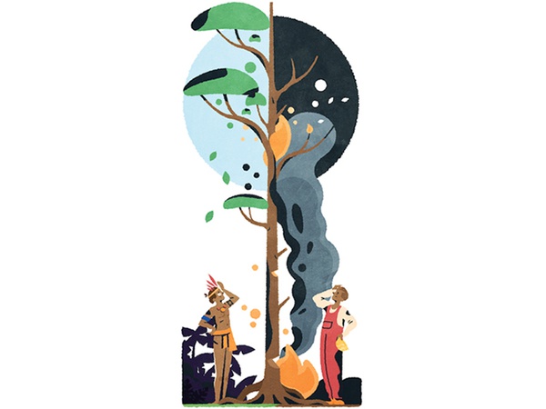 Deforestation rainforest latinamerica jungle editorial vectorart vecto.jpg