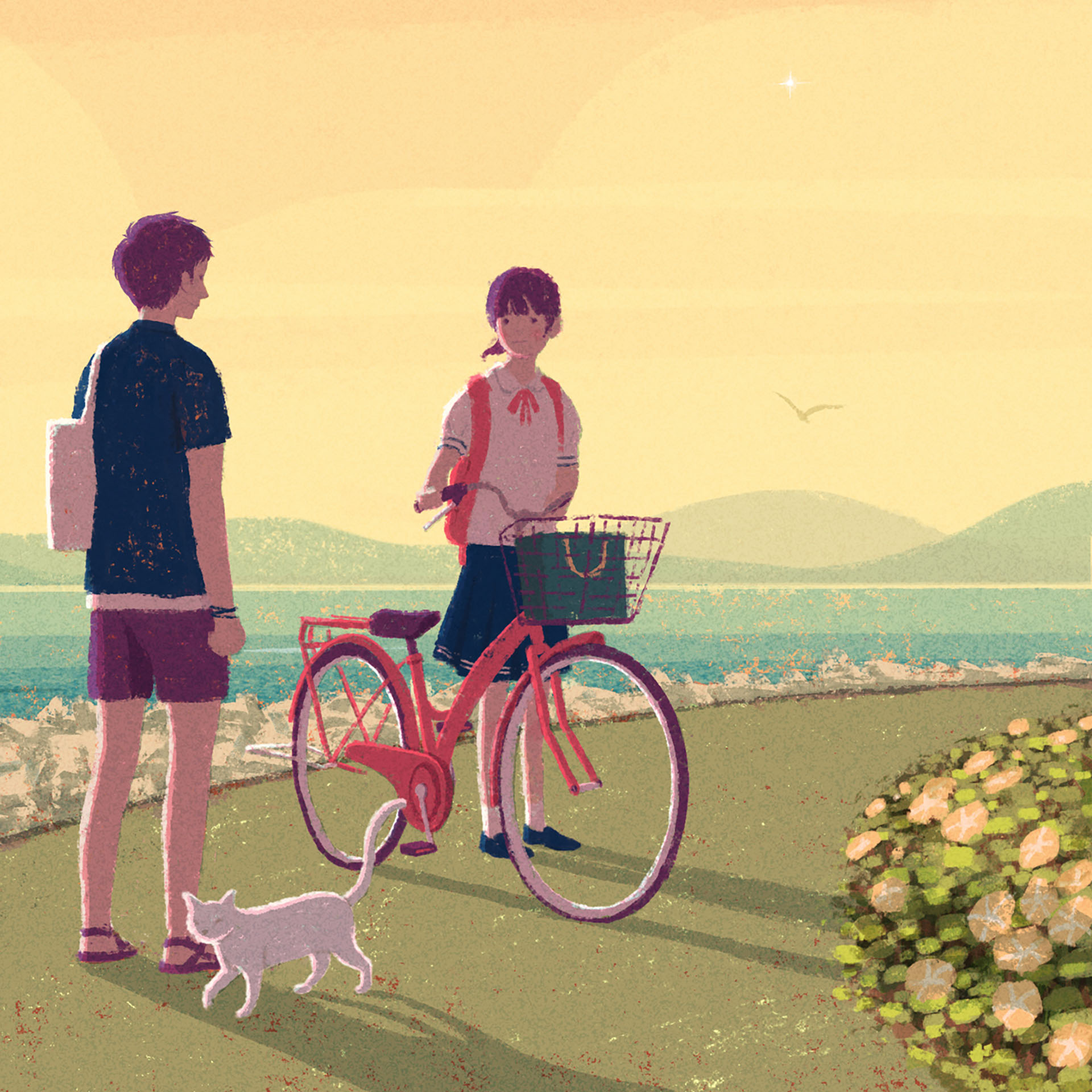beach Cat cloud girl japan Nature sea student summer sunset (2).jpg