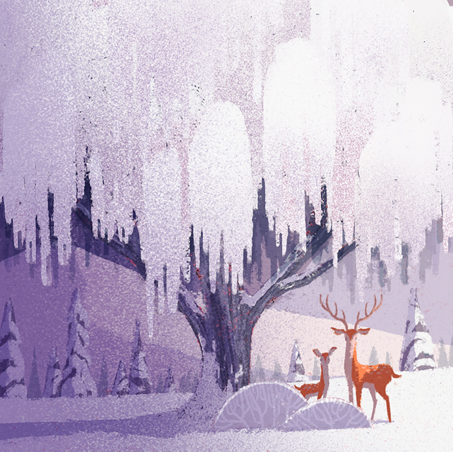 adventure animal moon mountain Nature night nostalgic snow Sunrise Tre (2).jpg