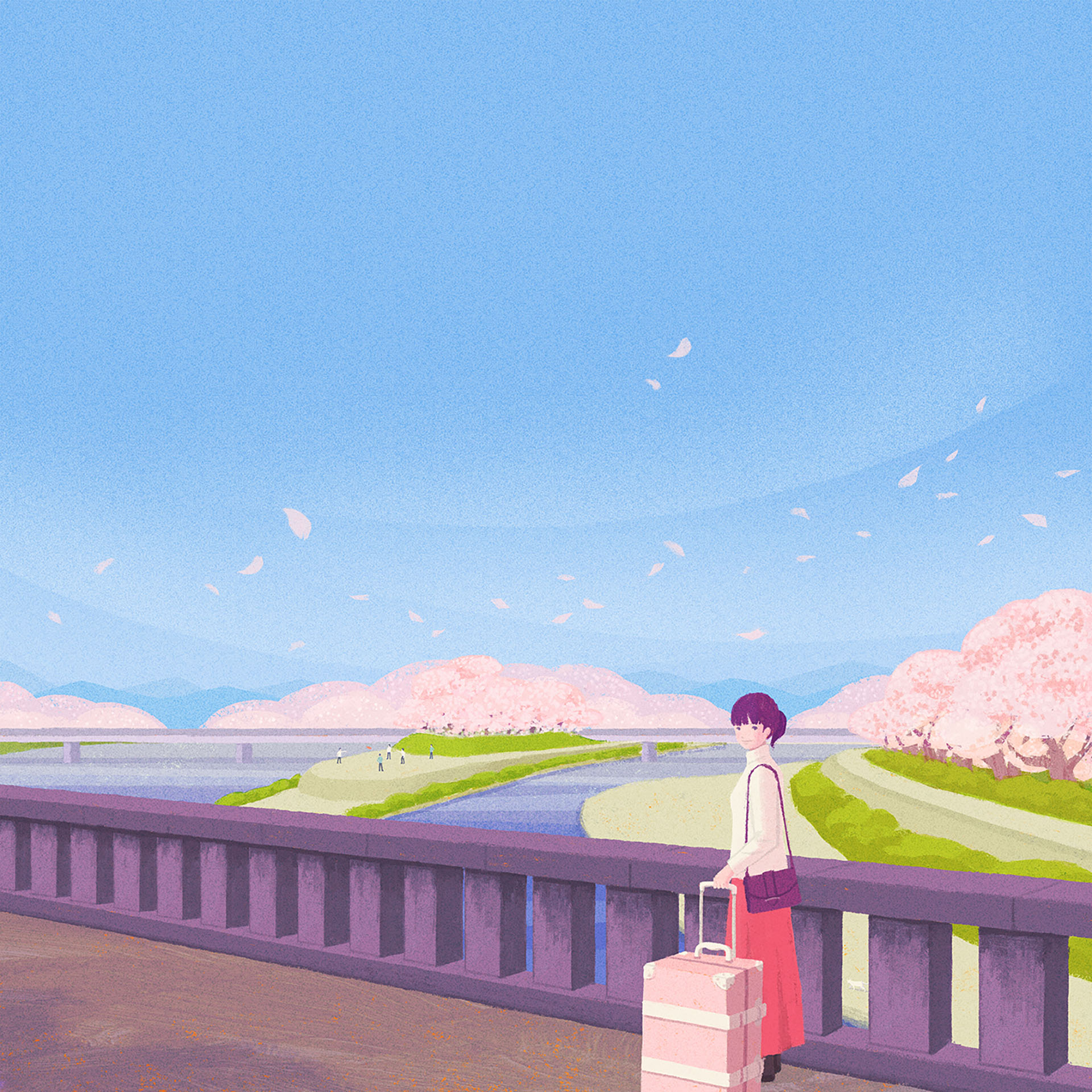 bridge cherryblossoms city girl japan kyoto Nature river SKY spring.jpg