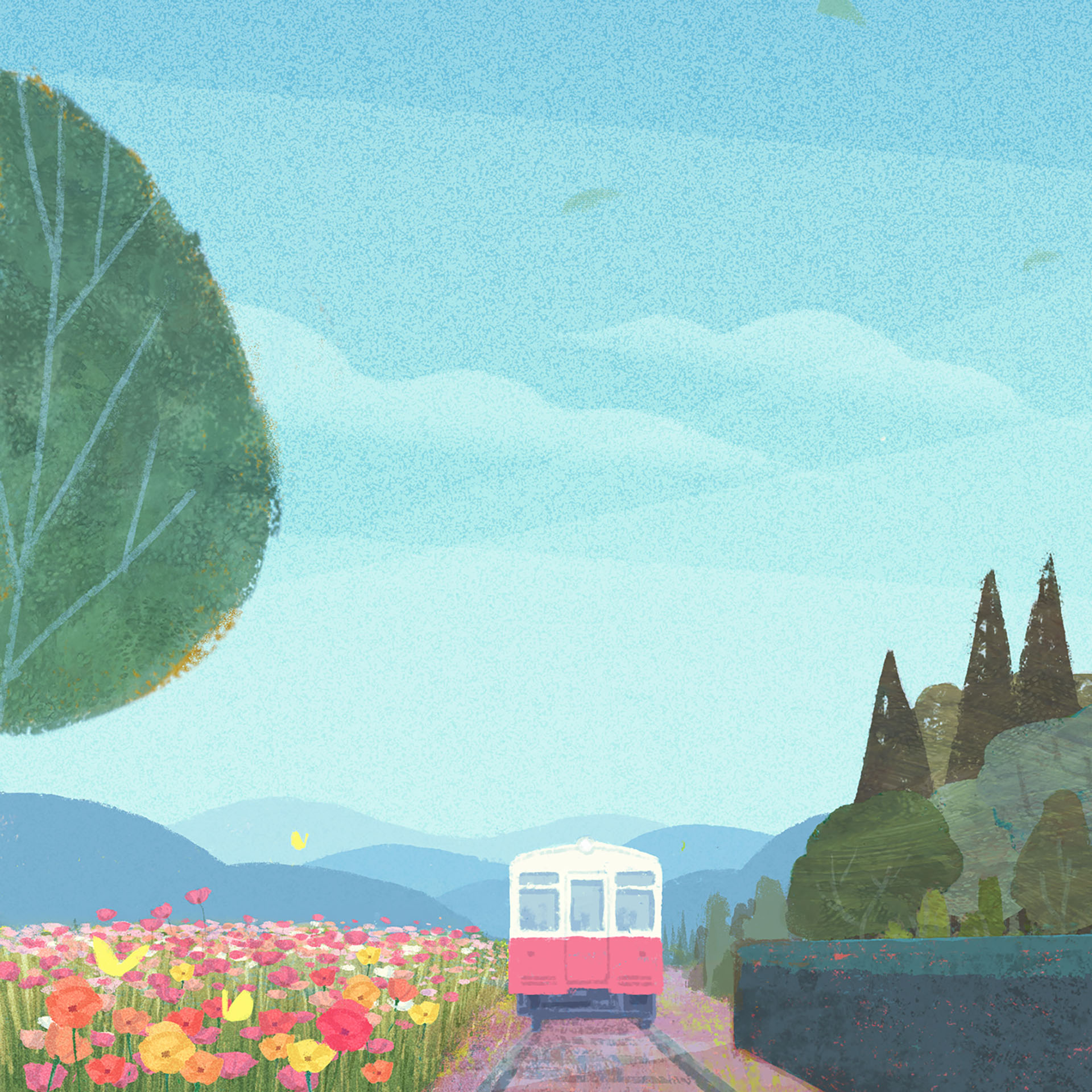 Cat countryside flower japan Landscape Nature STATION student train Tr (3).jpg