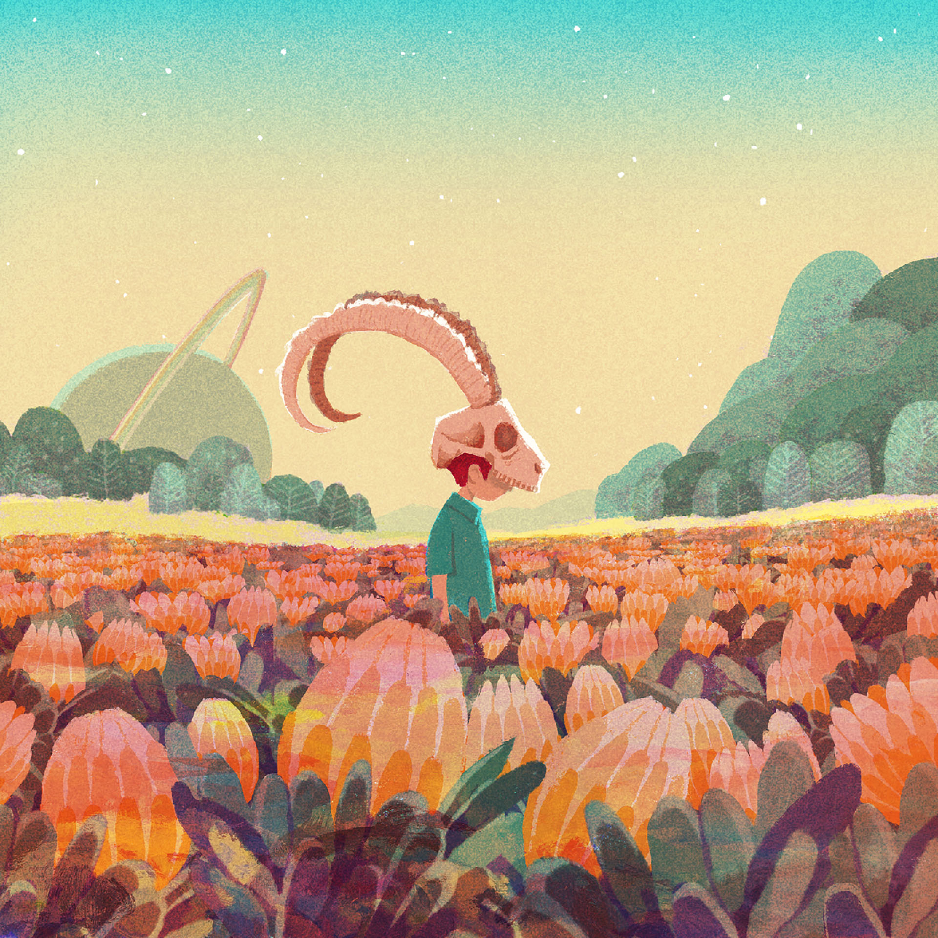 floral protea flower planet animal boy extinct music song record.jpg