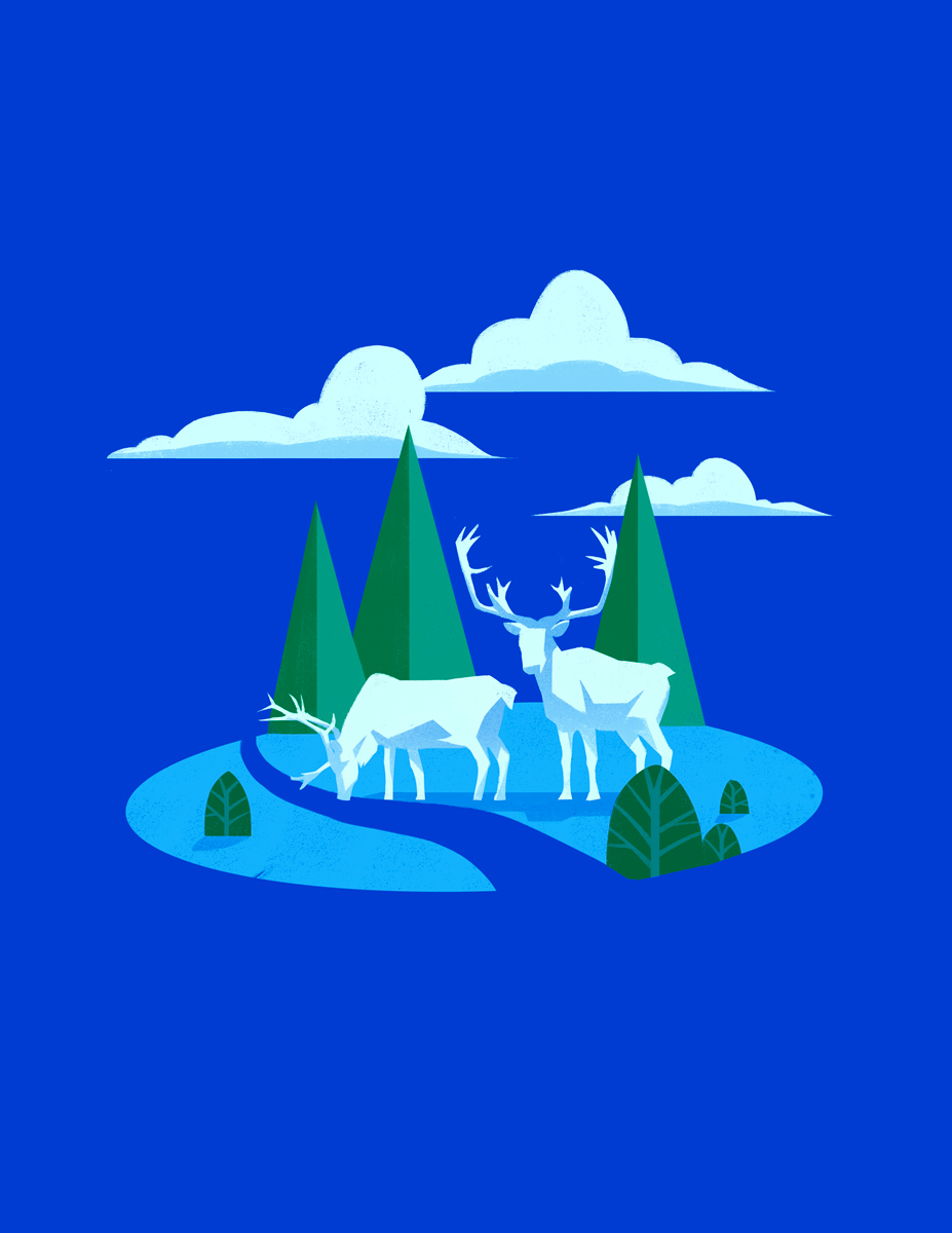 ILLUSTRATION  commercial software Technology (2).jpg
