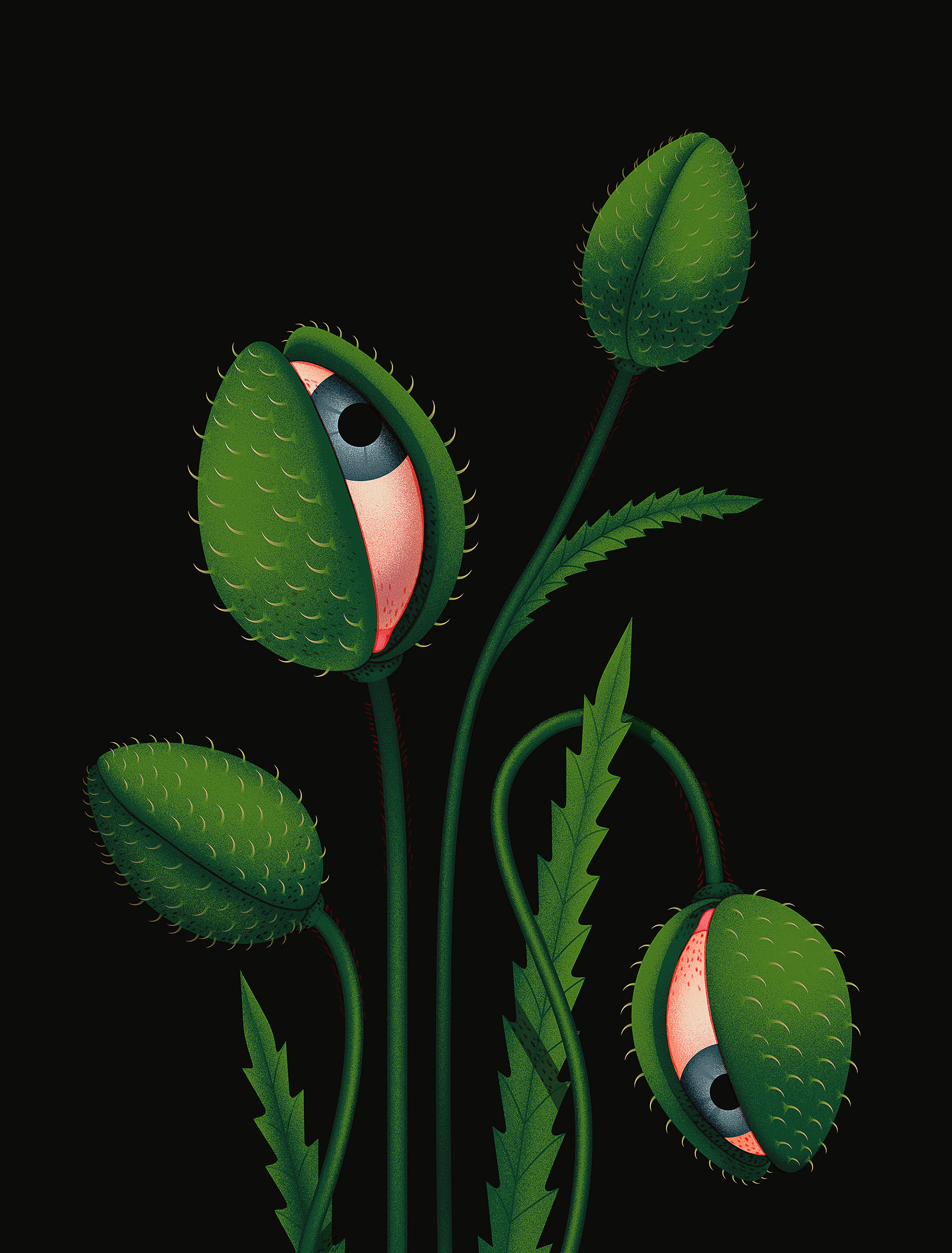 bloom botanical eye eyes Flora Flowers Jasmine miminoshvili portrait s (5).jpg