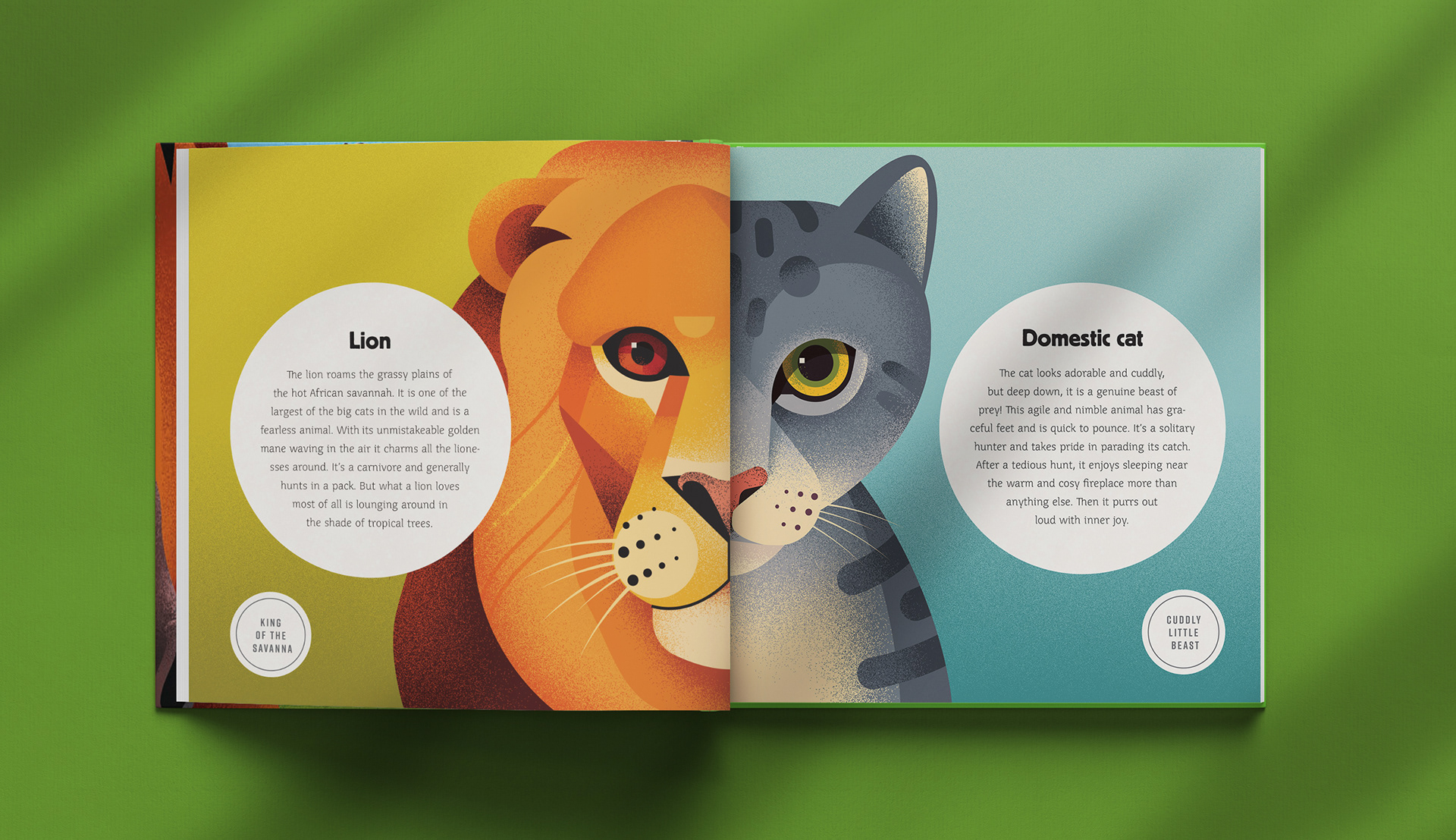 book childrens ILLUSTRATION  animals miminoshvili anano children lion (2).jpg