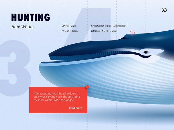 Blue whale gradient cute vector ux design ui close up adobe animal ill.jpg