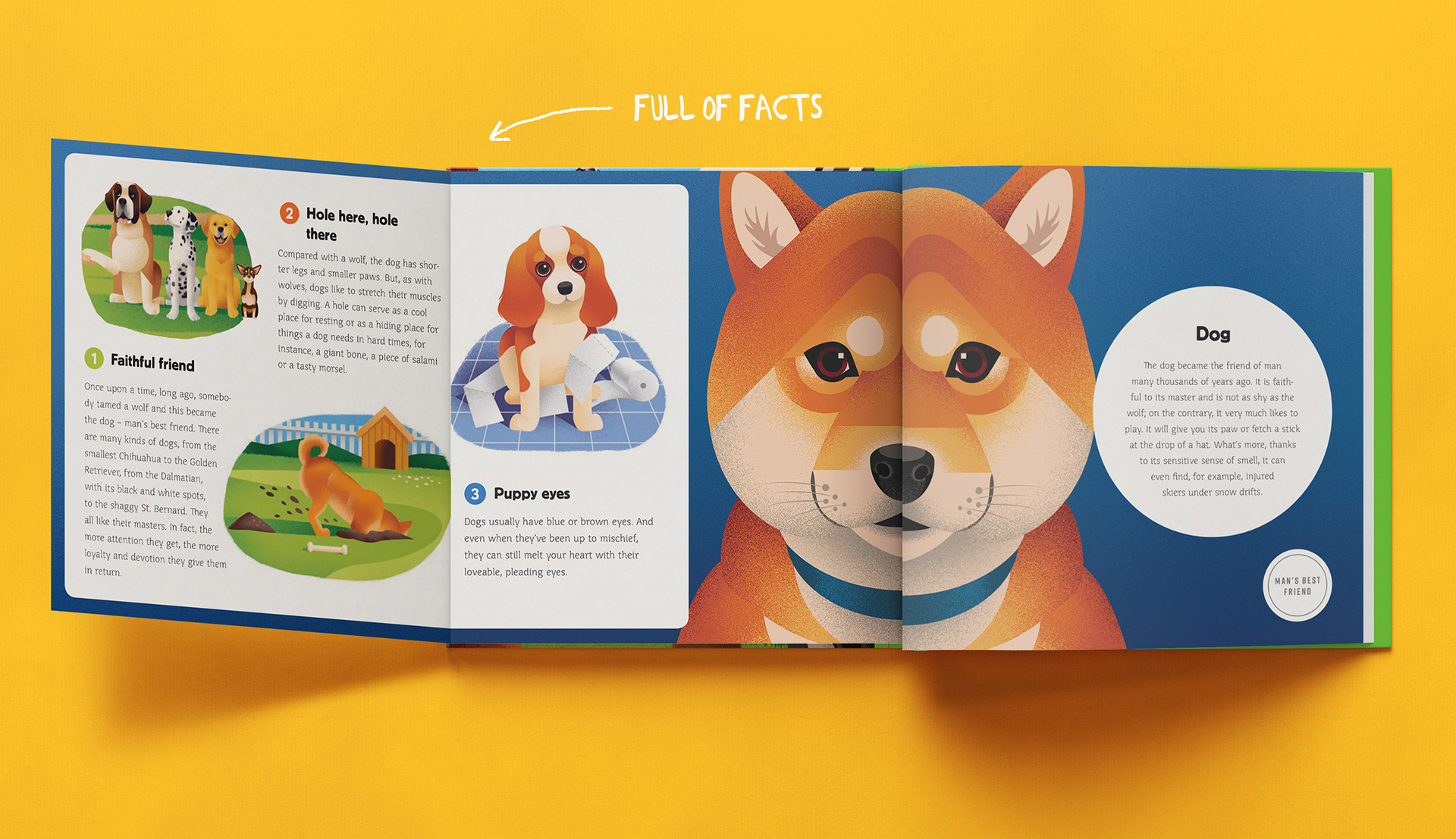 book childrens ILLUSTRATION  animals miminoshvili anano children lion (3).jpg
