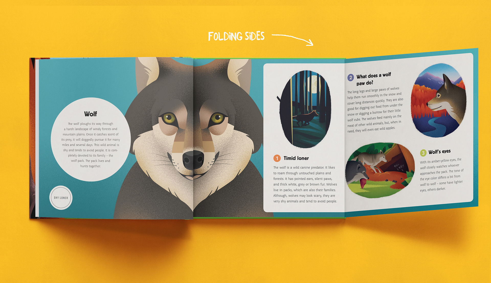book childrens ILLUSTRATION  animals miminoshvili anano children lion (5).jpg