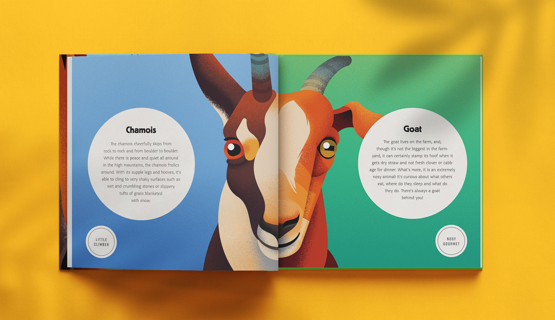 book childrens ILLUSTRATION  animals miminoshvili anano children lion (8).jpg