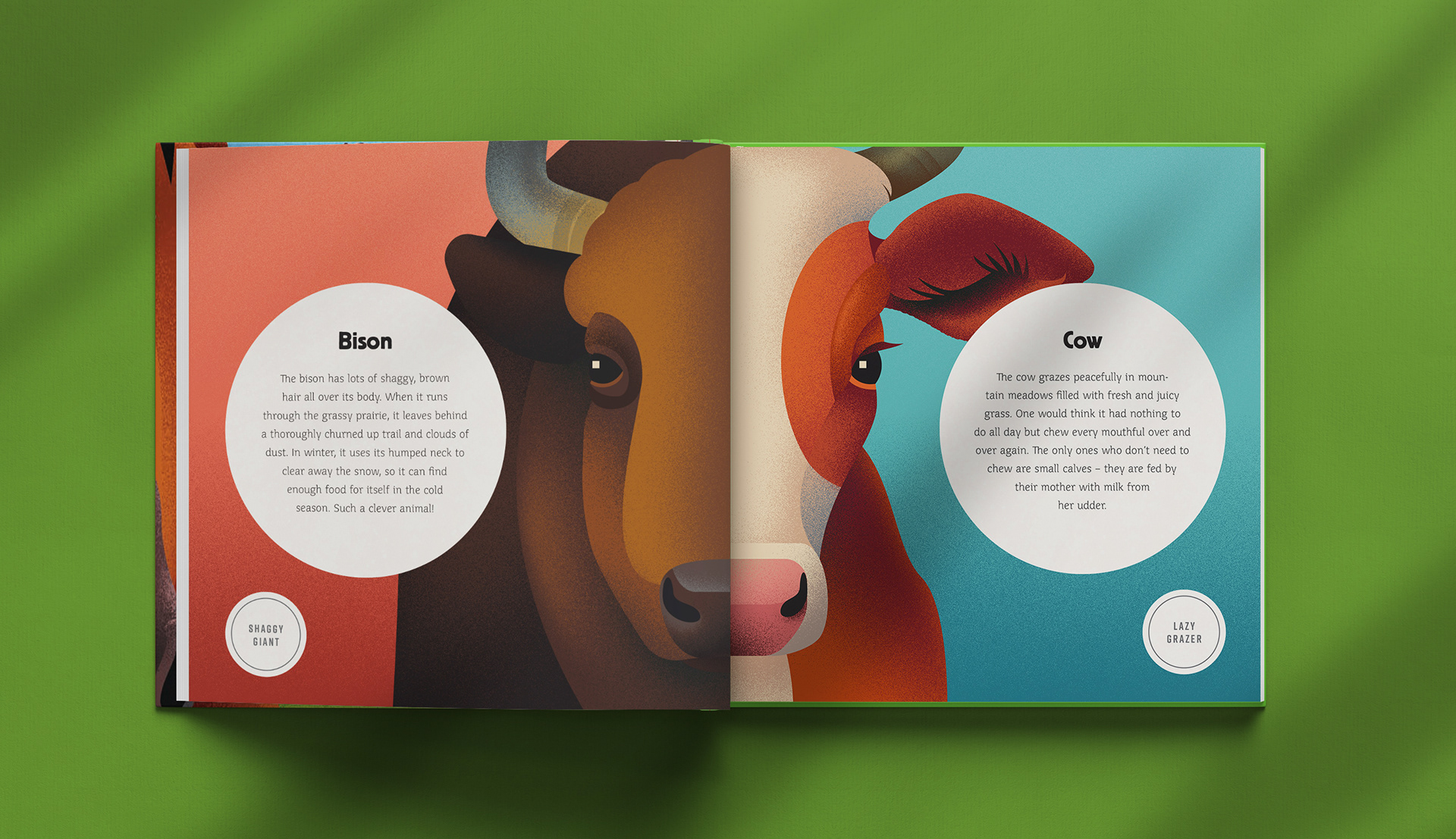 book childrens ILLUSTRATION  animals miminoshvili anano children lion (9).jpg