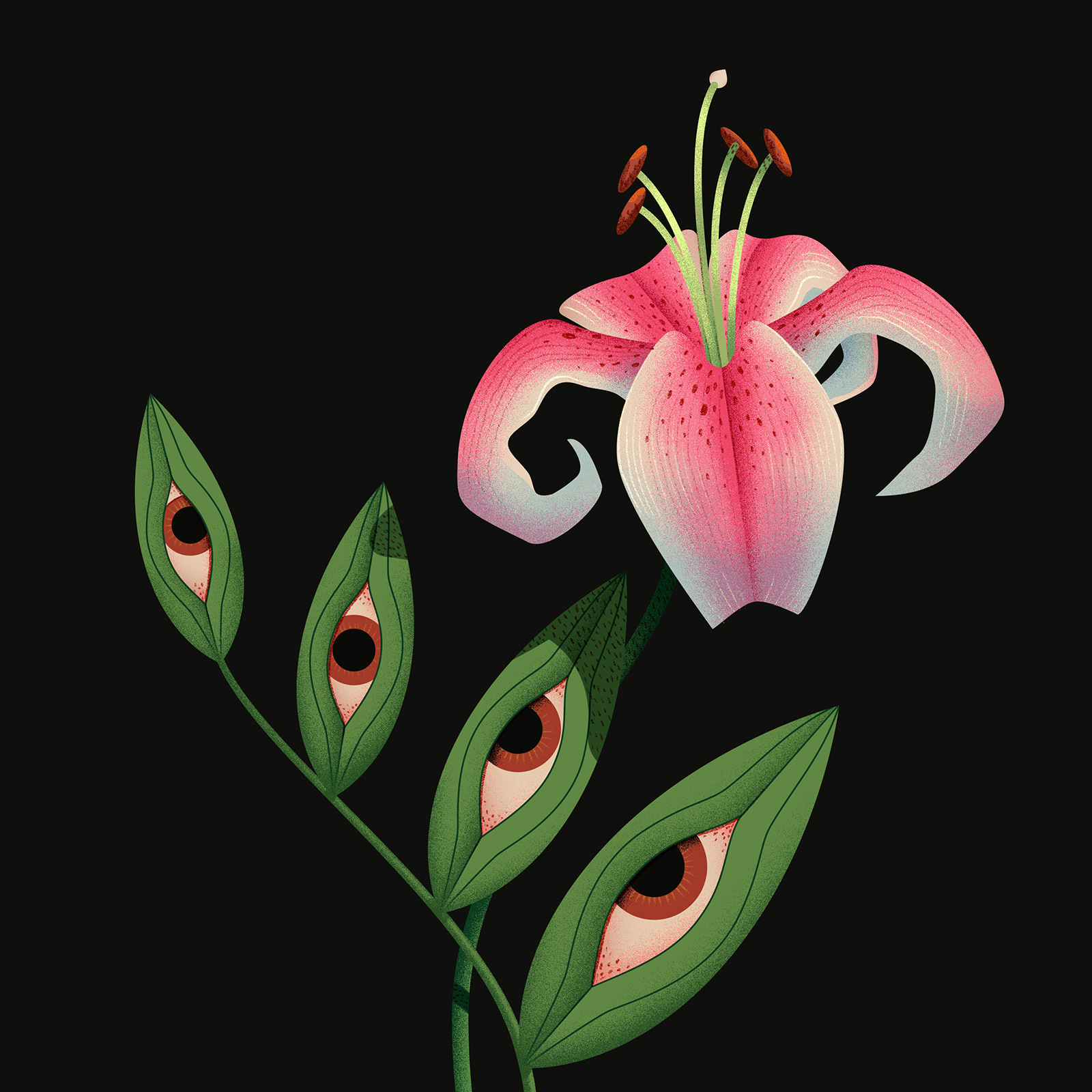 botanical eyes floral Flowers ILLUSTRATION  insect miminoshvili plants (4).jpg