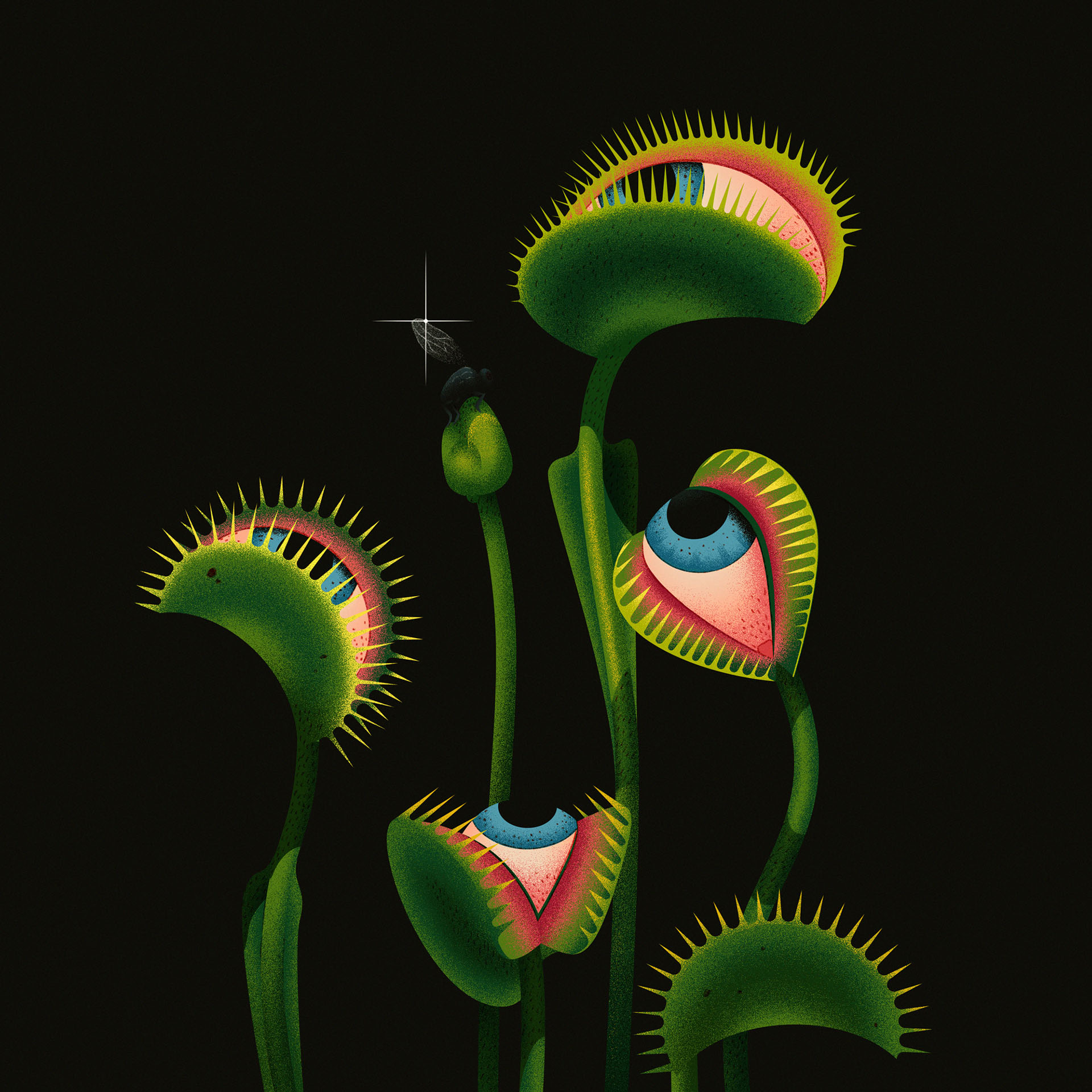 botanical eyes floral Flowers ILLUSTRATION  insect miminoshvili plants.jpg