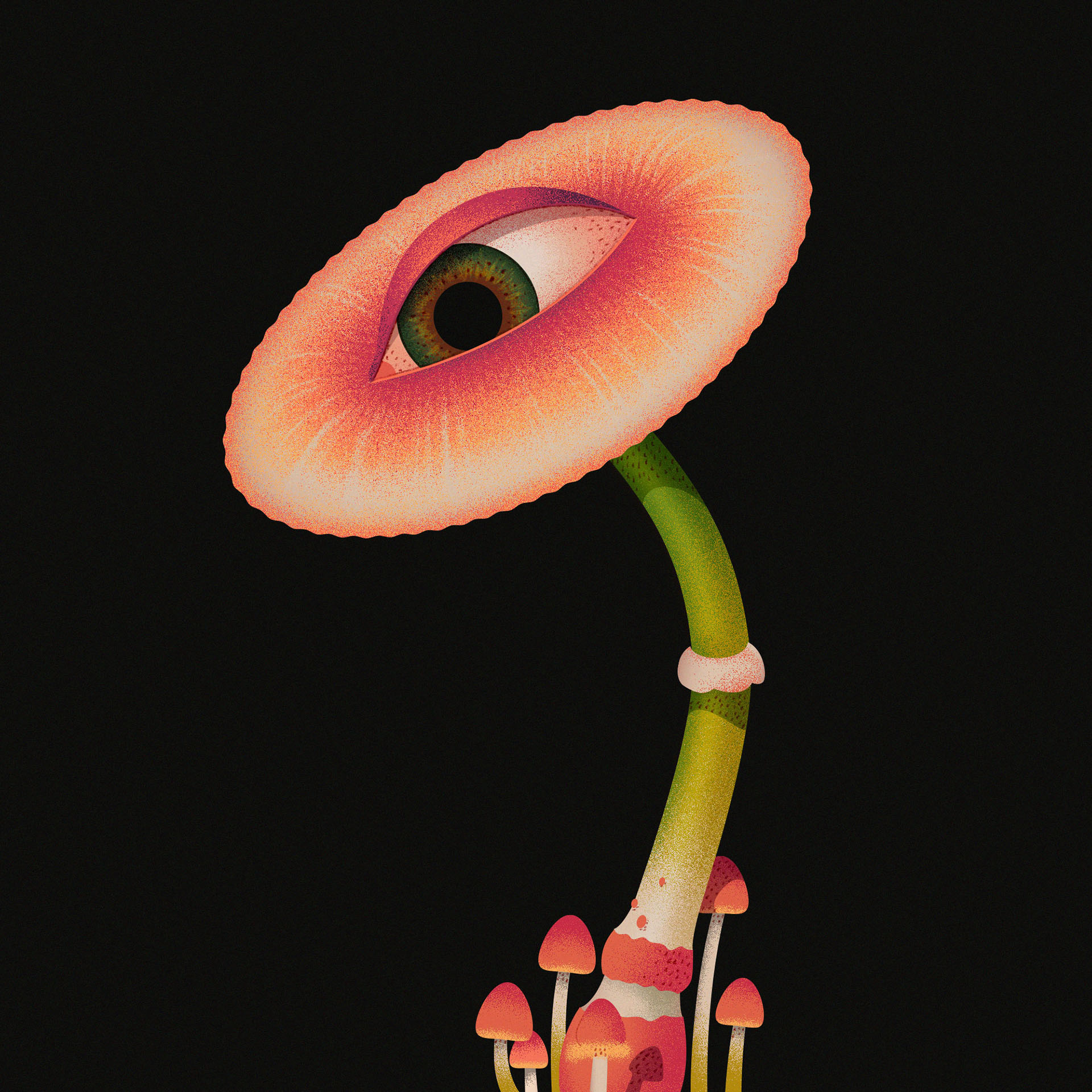 botanical eyes floral Flowers ILLUSTRATION  insect miminoshvili plants (5).jpg