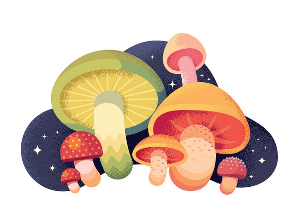 Mushrooms cute colors texture noise mushrooms anano illustration flat.jpg