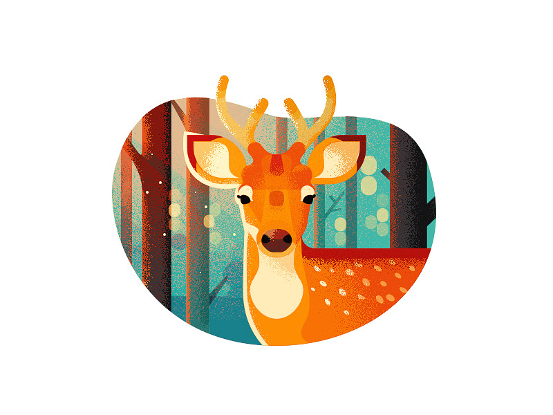 Summer Shots on Behance.jpg